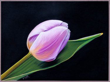 Tulip Dessin intitulée "Tulip" par Dietrich Moravec, Œuvre d'art originale, Pastel