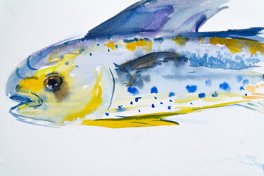 Schilderij getiteld "Mahi-mahi fish - co…" door Dina Aseeva, Origineel Kunstwerk, Aquarel