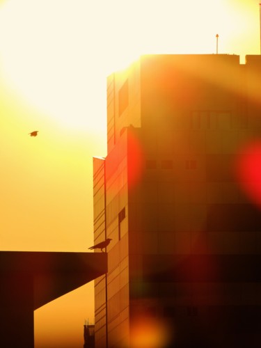 Photographie intitulée "Urban sunset" par Dinil Samarasinha, Œuvre d'art originale, Photographie numérique