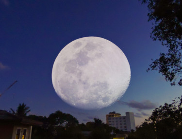 Fotografía titulada "MOON" por Dinil Samarasinha, Obra de arte original, Fotografía digital