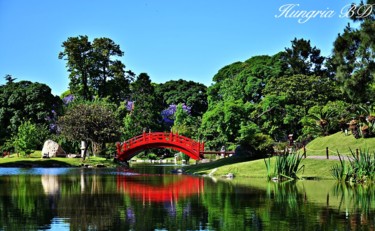 Fotografia intitulada "Jardim Japonês - Ag" por Diogo Hungria, Obras de arte originais