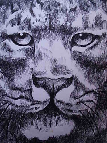 Painting titled "tiger,s eyes" by Divinciboy, Original Artwork