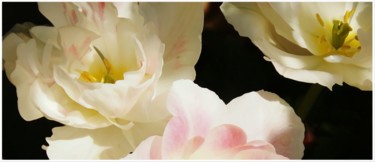 Photography titled "Fleur pivoine macro." by Divine Kanza, Original Artwork