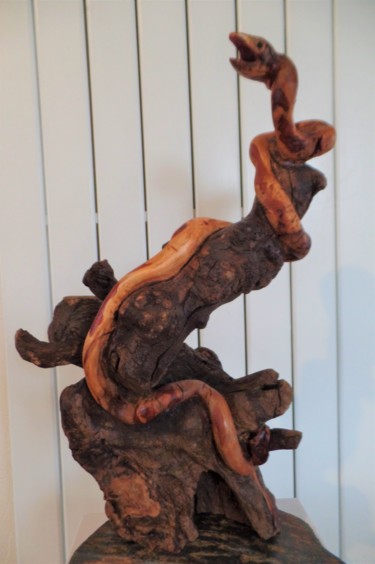 Sculpture intitulée "Kaa" par Michel Dixmai, Œuvre d'art originale, Bois