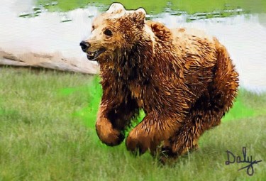 Painting titled "Brown_bear_(Ursus_a…" by David Daly, Original Artwork