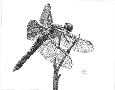 Drawing titled "Dragonfly" by Mish P, Original Artwork