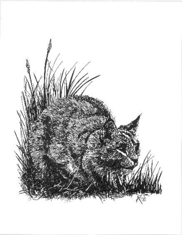 Drawing titled "Crouching Bobcat" by Mish P, Original Artwork, Other