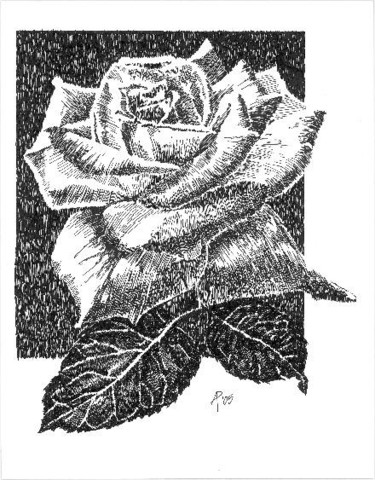 Drawing titled "The Rose" by Mish P, Original Artwork, Other