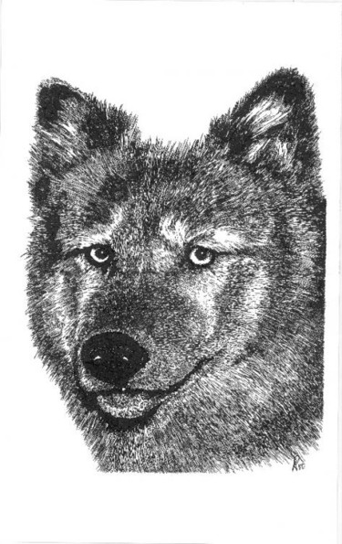 Drawing titled "Wolf" by Mish P, Original Artwork