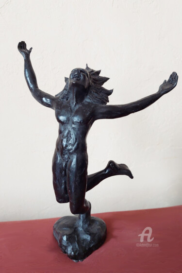 Scultura intitolato "Chaman" da Didier Ledus, Opera d'arte originale, Bronzo