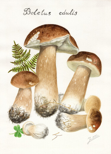 Peinture intitulée "BOLETUS EDULIS" par Dmitrii Kastalskii, Œuvre d'art originale, Aquarelle