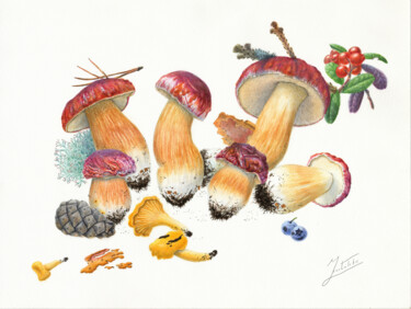 Painting titled "BOLETUS AND CHANTER…" by Dmitrii Kastalskii, Original Artwork, Watercolor
