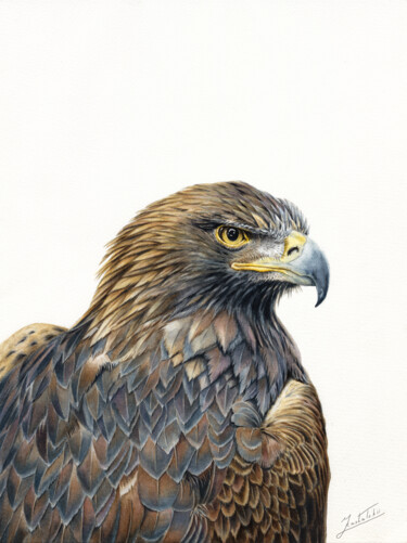 Peinture intitulée "GOLDEN EAGLE" par Dmitrii Kastalskii, Œuvre d'art originale, Aquarelle