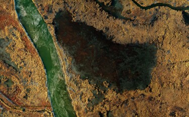 Fotografia intitulada "Дельта главной реки…" por Dmitrii Myznikov, Obras de arte originais, Fotografia digital