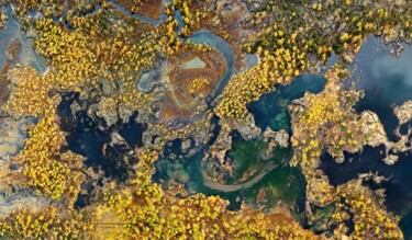 Photographie intitulée "Осенние краски  лав…" par Dmitrii Myznikov, Œuvre d'art originale, Peinture numérique