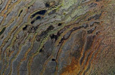 Фотография под названием "Моховое болото вост…" - Дмитрий Мызников, Подлинное произведение искусства, Цифровая фотография