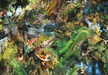 Коллажи под названием "Верхний сад Семирам…" - Дмитрий Шулькович, Подлинное произведение искусства, Коллажи