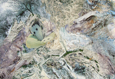 Коллажи под названием "Тропик Водолея" - Дмитрий Шулькович, Подлинное произведение искусства, Коллажи