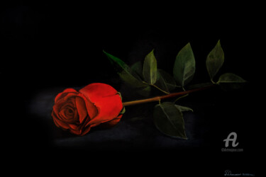 Pittura intitolato "Одинокая роза" da Dmitriy Pokanevich, Opera d'arte originale, Acquarello