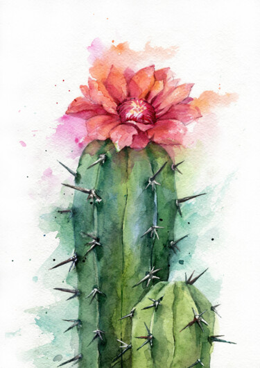 Pittura intitolato "cactus watercolor" da Dmitriy Shvetsov, Opera d'arte originale, Acquarello