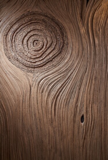 In the Stream of the Tree Sculpture intitulée "In the Stream of th…" par Dmitriy Solodchenko, Œuvre d'art originale, Bois
