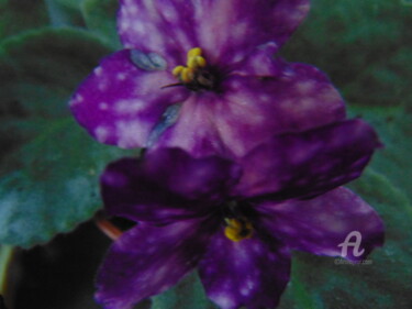 Photographie intitulée "violet" par Dmitry Oleynik, Œuvre d'art originale, Photographie numérique