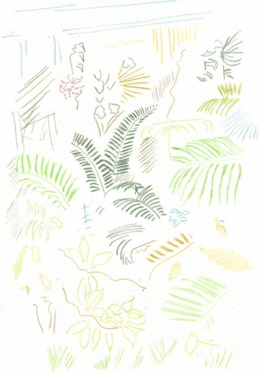 Drawing titled "Ferns and Light" by David Monteiro, Original Artwork, Pencil