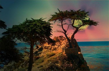 Photography titled "The Lone Cypress" by Dmorco, Original Artwork