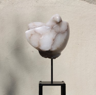 Sculpture intitulée "Like a bird" par Dominique Ferrandon-Lamy, Œuvre d'art originale, Pierre