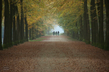 Fotografie getiteld "herfst 1" door Doen, Origineel Kunstwerk, Digitale fotografie