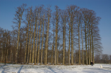 Fotografie getiteld "winter 8" door Doen, Origineel Kunstwerk, Digitale fotografie