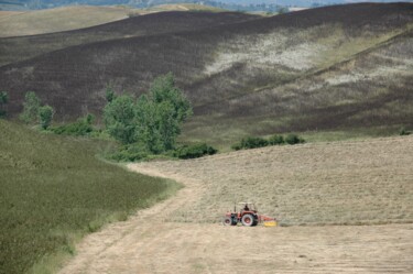 Photography titled "37. agricultural la…" by Doen, Original Artwork, Digital Photography