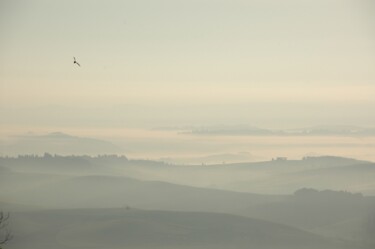 Fotografie getiteld "30. foggy dawn land…" door Doen, Origineel Kunstwerk, Digitale fotografie