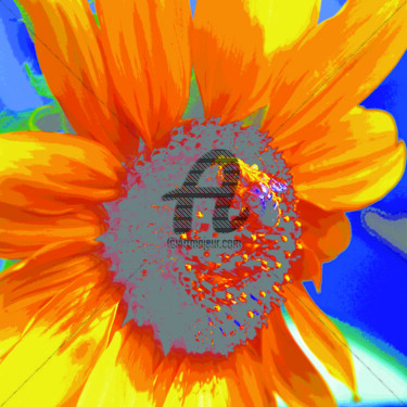 Photographie intitulée "bee sunflower" par Dol, Œuvre d'art originale