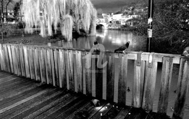 Photographie intitulée "Pigeons sur le pont…" par Dol, Œuvre d'art originale