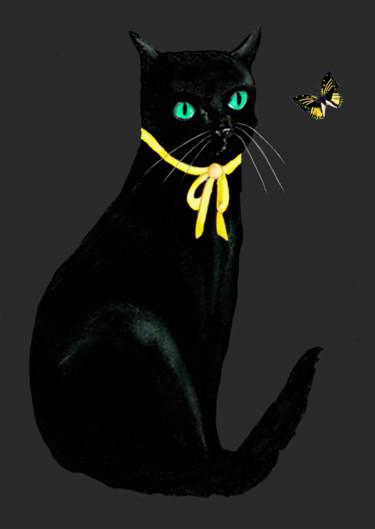 Цифровое искусство под названием "Black Cat and Butte…" - Dodi Ballada, Подлинное произведение искусства, Цифровая живопись