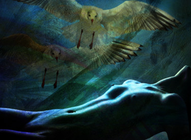 Arte digitale intitolato "L'île aux Oiseaux" da Dodi Ballada, Opera d'arte originale, Pittura digitale