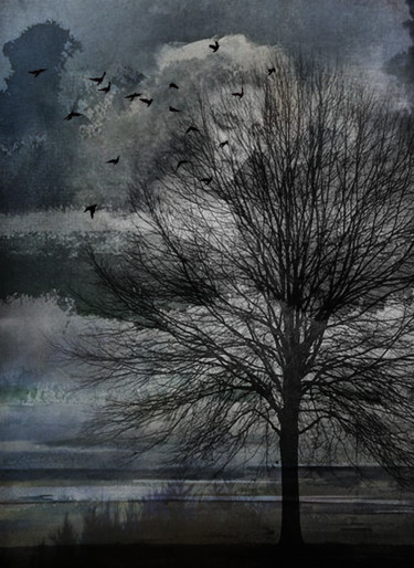 Digital Arts titled "l'arbre qui regarda…" by Dodi Ballada, Original Artwork, Digital Painting