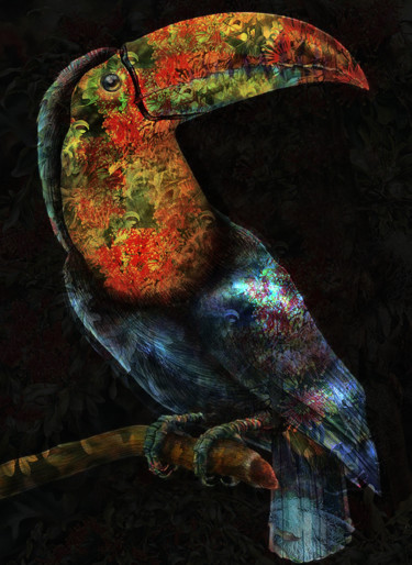 Digital Arts titled "l'oiseau" by Dodi Ballada, Original Artwork, Digital Painting