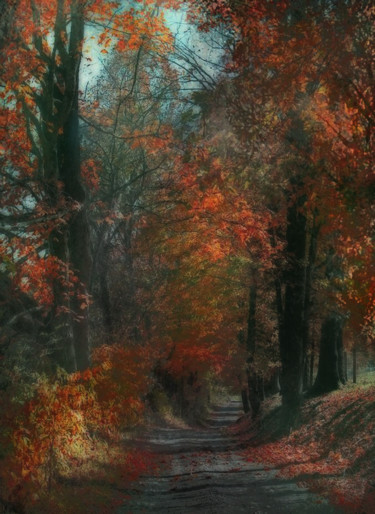 Arts numériques intitulée "petit chemin" par Dodi Ballada, Œuvre d'art originale, Peinture numérique