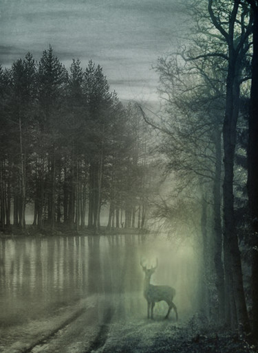 Digital Arts titled "in the mist" by Dodi Ballada, Original Artwork, Digital Painting