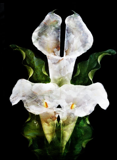 Arts numériques intitulée "ecume de fleurs" par Dodi Ballada, Œuvre d'art originale, Peinture numérique