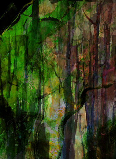 Digital Arts titled "foret enchantée" by Dodi Ballada, Original Artwork, Digital Painting