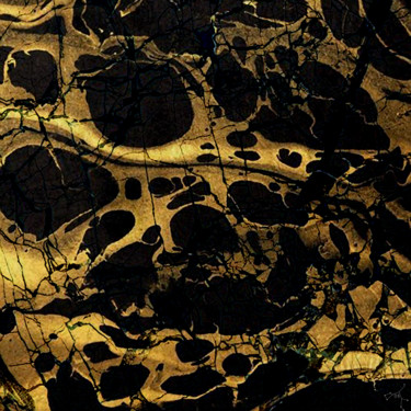 Arts numériques intitulée "l'étalon-or" par Dodi Ballada, Œuvre d'art originale, Peinture numérique