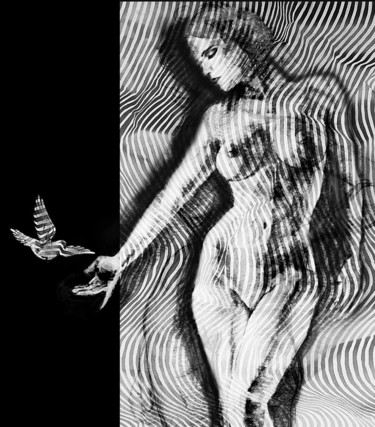 "Dove" başlıklı Tablo Dodi Ballada tarafından, Orijinal sanat, Akrilik