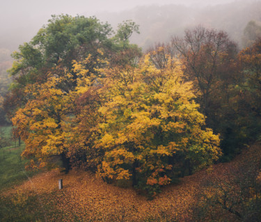 Photography titled "Autunno a Praga" by Domenico Guddo, Original Artwork, Digital Photography