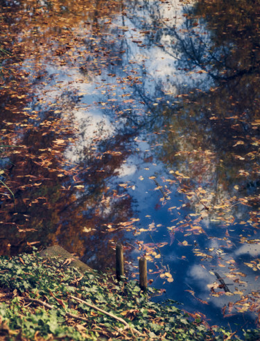 Photographie intitulée "In attesa di un ric…" par Domenico Guddo, Œuvre d'art originale, Photographie numérique