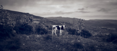 Fotografía titulada "Arcadia" por Domenico Guddo, Obra de arte original