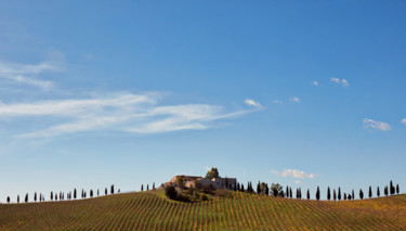 Fotografia intitolato "Equilibri naturali" da Domenico Guddo, Opera d'arte originale