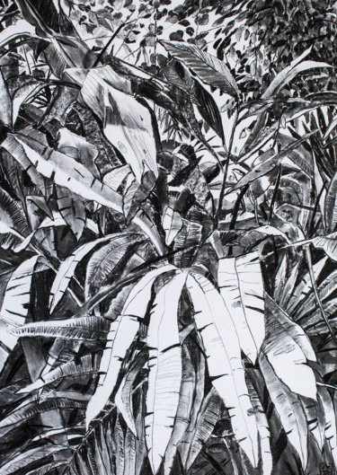 Dessin intitulée "Thick Jungle" par Dominic Virtosu, Œuvre d'art originale, Fusain